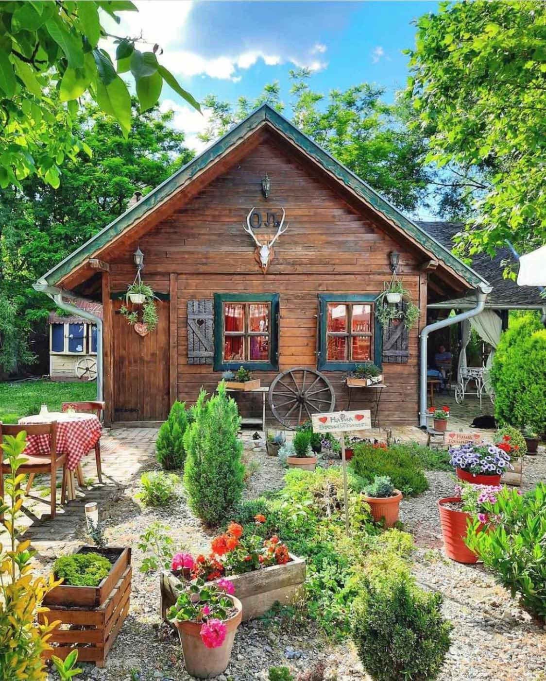 Wood Mood Apartman Tiganjica Stajicevo Exterior foto